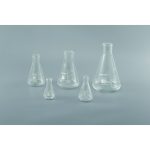 Erlenmeyer Flask